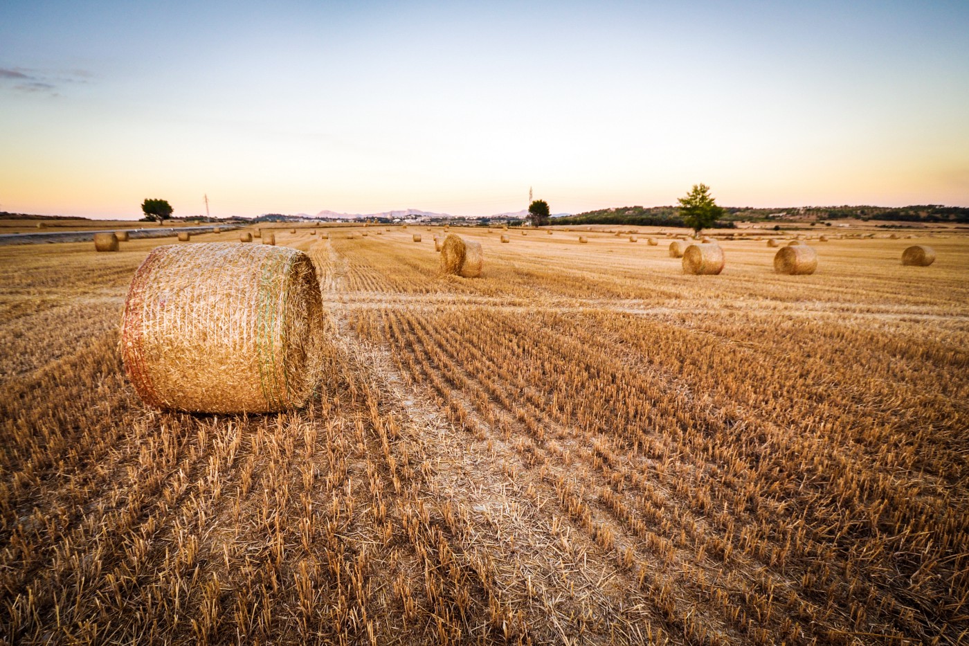 Two minutes NLP — Quick Introduction to Haystack