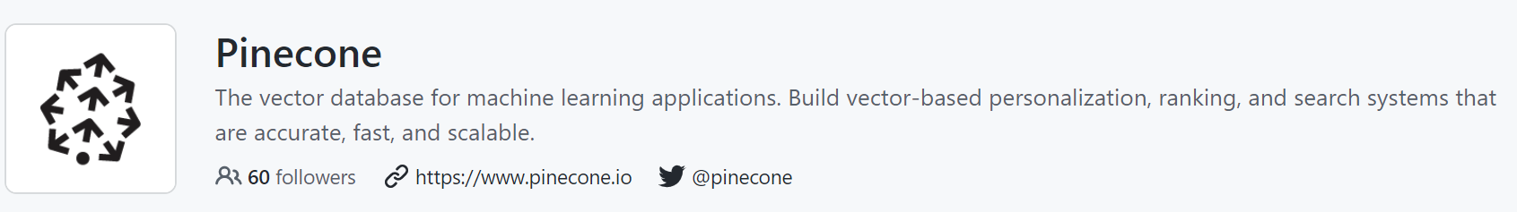 Pinecone AI examples